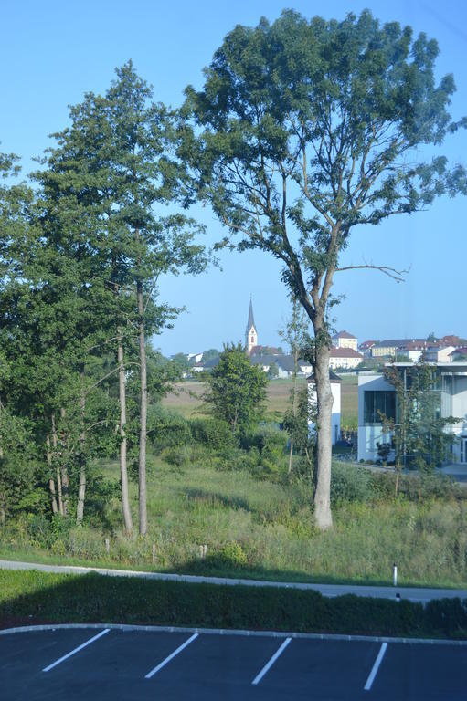 Turmoel Hotel Allhaming Экстерьер фото